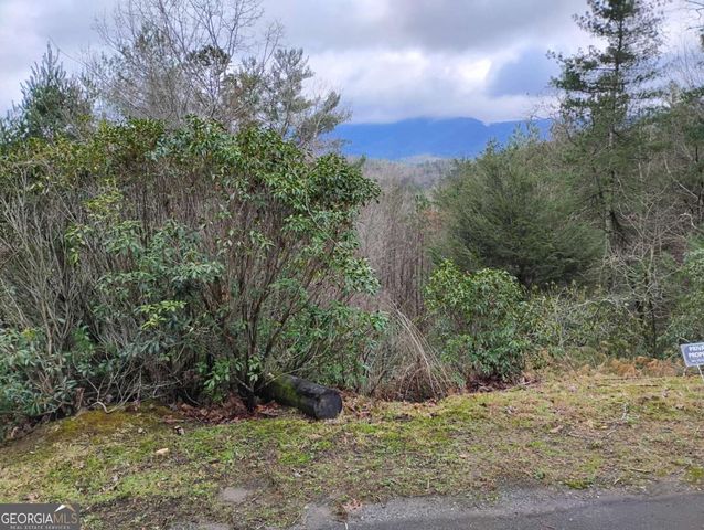 LT 166 Shenendoa Drive 166, Ellijay, GA 30540