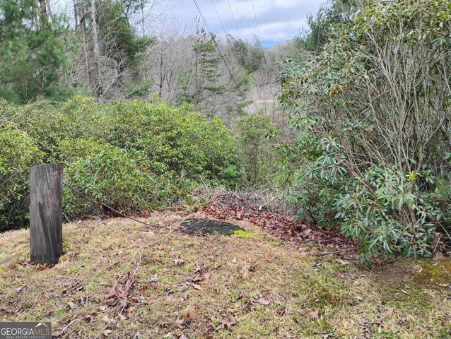 LT 166 Shenendoa Drive 166, Ellijay, GA 30540