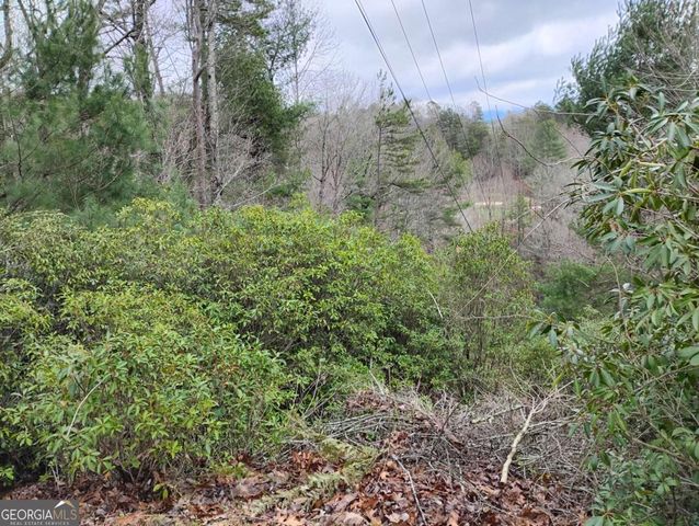 LT 166 Shenendoa Drive 166, Ellijay, GA 30540