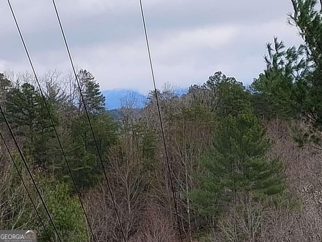 LT 166 Shenendoa Drive 166, Ellijay, GA 30540