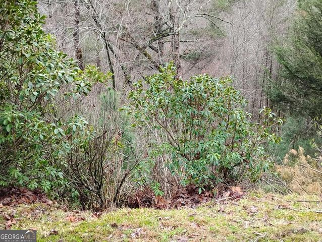 LT 166 Shenendoa Drive 166, Ellijay, GA 30540