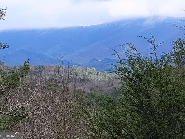 LT 166 Shenendoa Drive 166, Ellijay, GA 30540