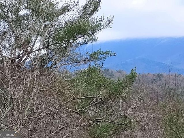LT 166 Shenendoa Drive 166, Ellijay, GA 30540