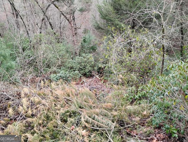 LT 166 Shenendoa Drive 166, Ellijay, GA 30540