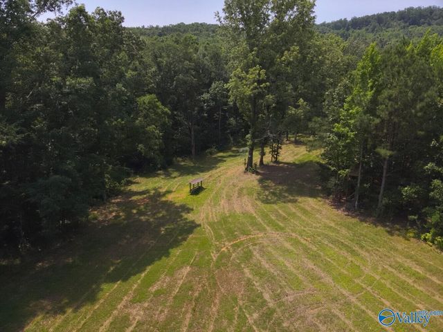 1619 Peck Hollow Road, Somerville, AL 35670