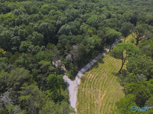 1619 Peck Hollow Road, Somerville, AL 35670