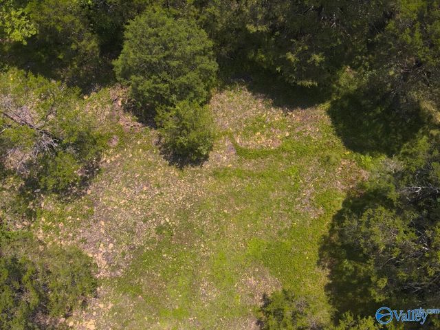 1619 Peck Hollow Road, Somerville, AL 35670