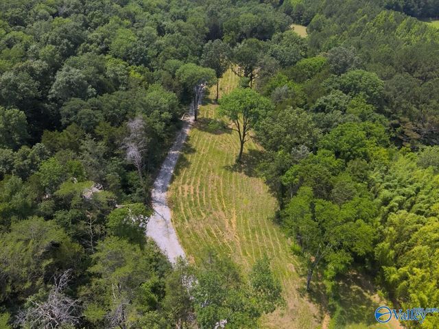 1619 Peck Hollow Road, Somerville, AL 35670