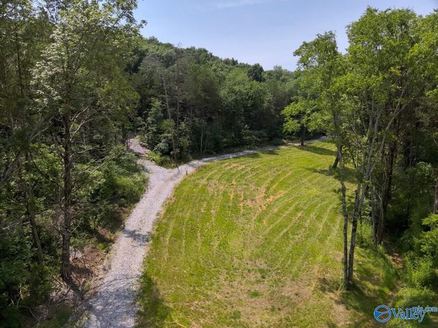 1619 Peck Hollow Road, Somerville, AL 35670