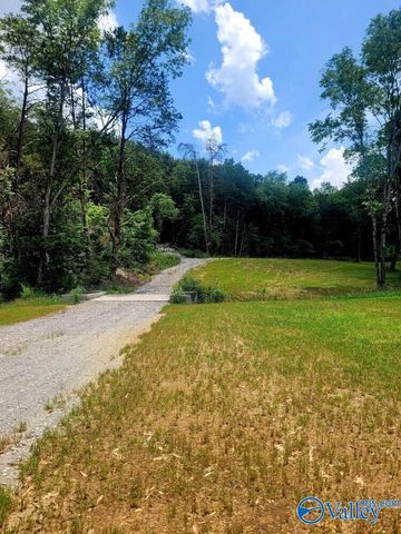 1619 Peck Hollow Road, Somerville, AL 35670