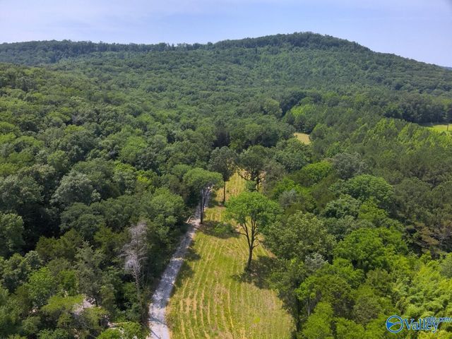 1619 Peck Hollow Road, Somerville, AL 35670