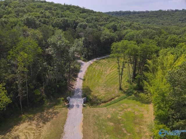 1619 Peck Hollow Road, Somerville, AL 35670