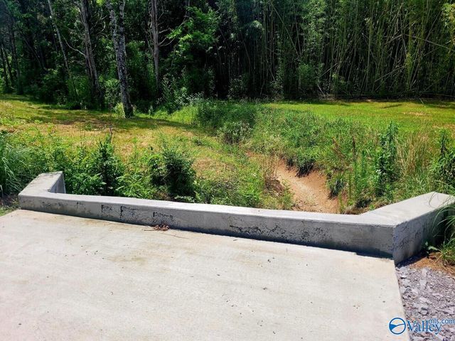 1619 Peck Hollow Road, Somerville, AL 35670