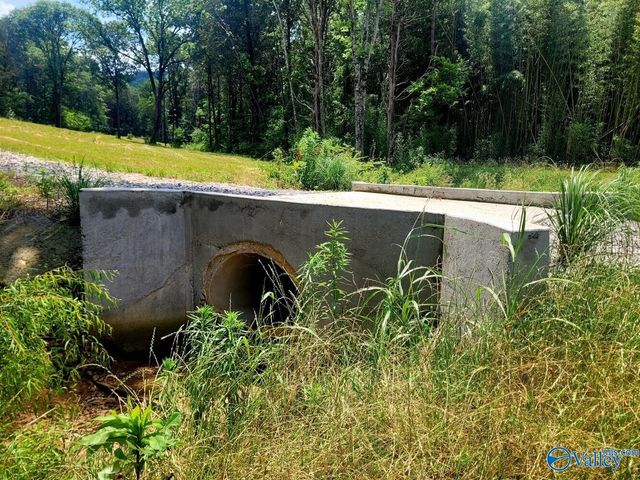 1619 Peck Hollow Road, Somerville, AL 35670