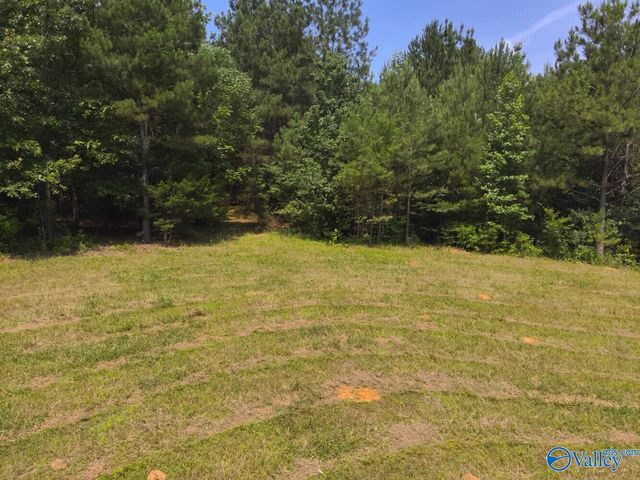 1619 Peck Hollow Road, Somerville, AL 35670