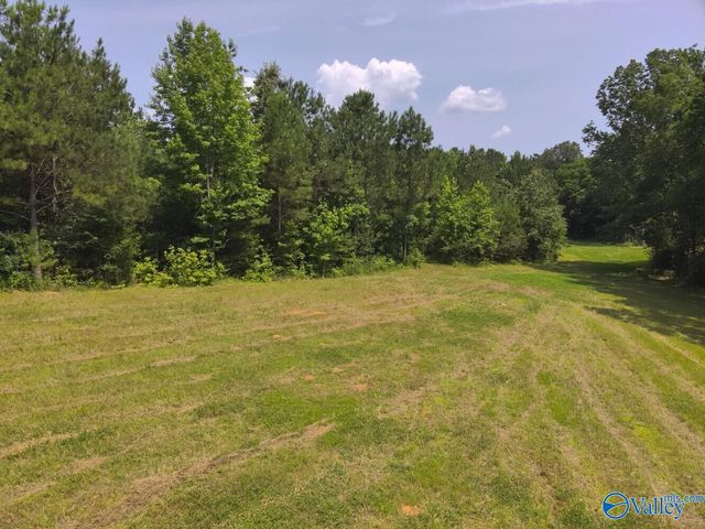 1619 Peck Hollow Road, Somerville, AL 35670
