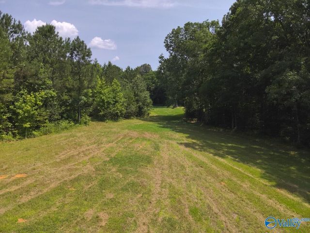 1619 Peck Hollow Road, Somerville, AL 35670