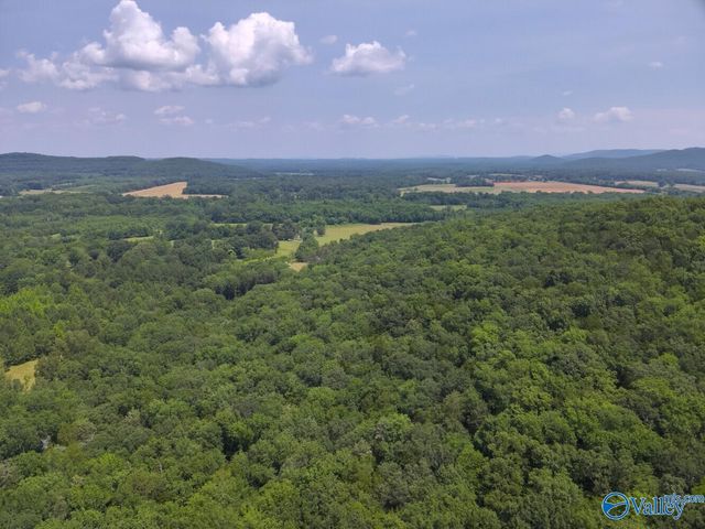 1619 Peck Hollow Road, Somerville, AL 35670