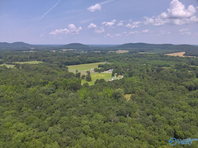 1619 Peck Hollow Road, Somerville, AL 35670