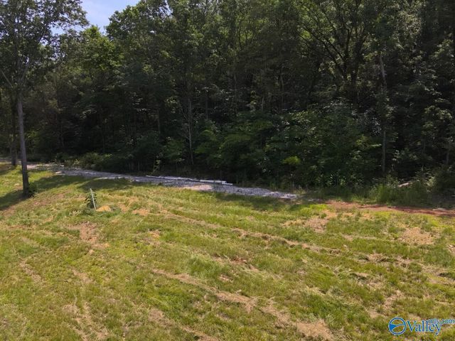 1619 Peck Hollow Road, Somerville, AL 35670