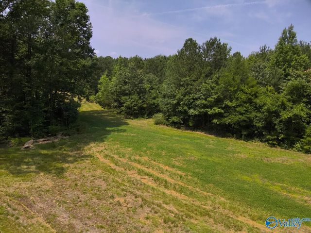 1619 Peck Hollow Road, Somerville, AL 35670