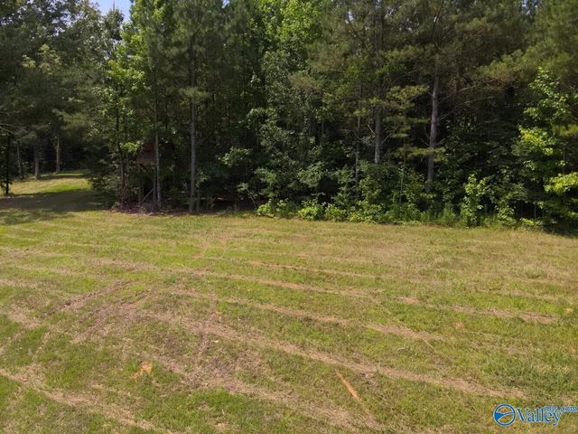 1619 Peck Hollow Road, Somerville, AL 35670