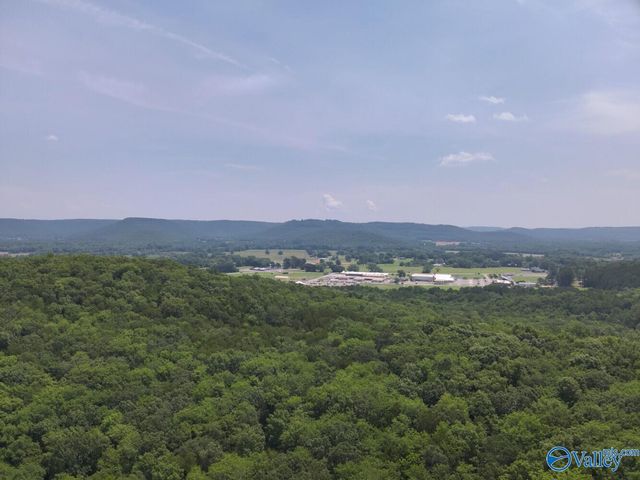 1619 Peck Hollow Road, Somerville, AL 35670