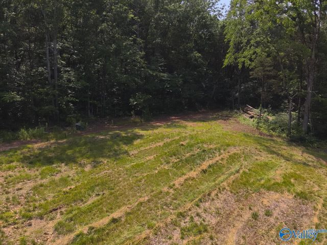 1619 Peck Hollow Road, Somerville, AL 35670