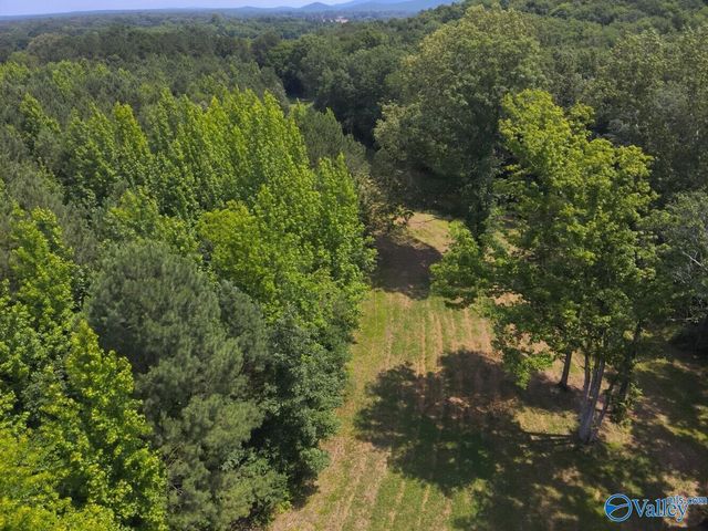 1619 Peck Hollow Road, Somerville, AL 35670