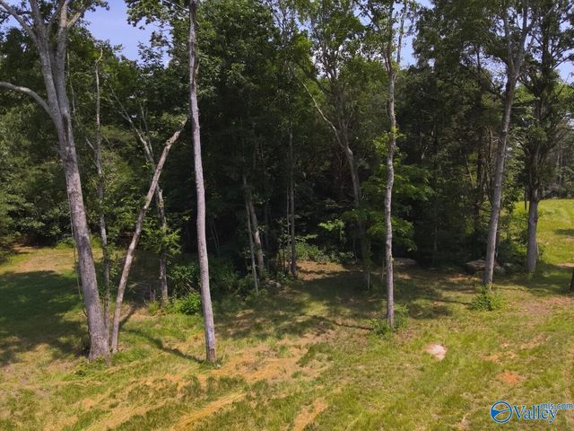 1619 Peck Hollow Road, Somerville, AL 35670