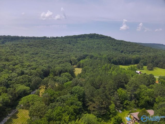 1619 Peck Hollow Road, Somerville, AL 35670