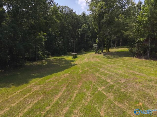 1619 Peck Hollow Road, Somerville, AL 35670