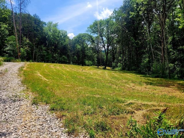 1619 Peck Hollow Road, Somerville, AL 35670