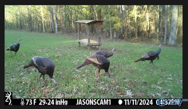 1619 Peck Hollow Road, Somerville, AL 35670