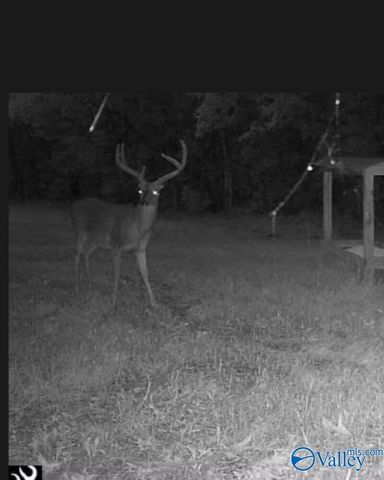 1619 Peck Hollow Road, Somerville, AL 35670