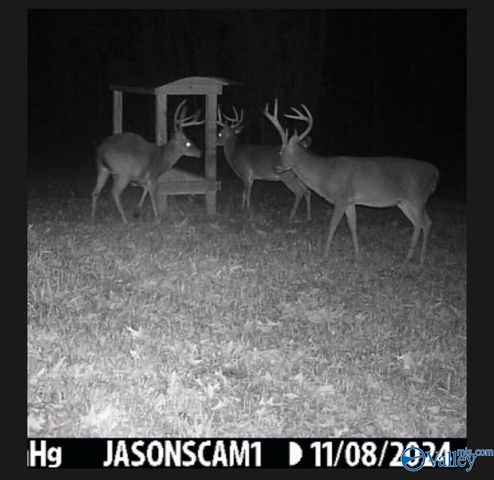 1619 Peck Hollow Road, Somerville, AL 35670