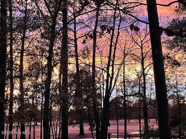 1514 Grandiflora Drive, Leland, NC 28451