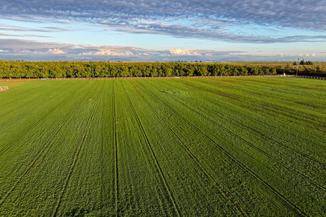 16500 Rd 152, Tulare, CA 93274