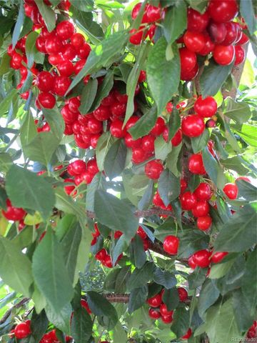 800 Gateway Park Lane, Berthoud, CO 80513