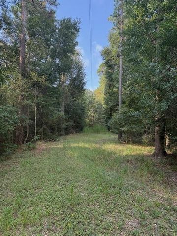 25571 Kimbro Road, Hockley, TX 77447