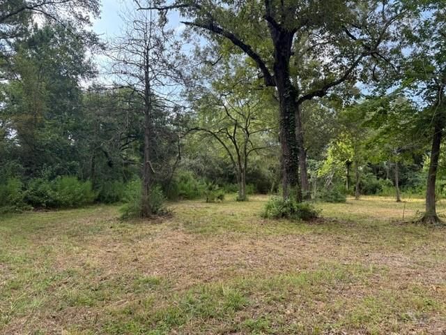 25571 Kimbro Road, Hockley, TX 77447
