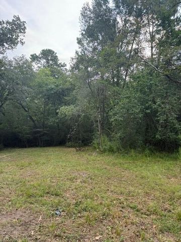 25571 Kimbro Road, Hockley, TX 77447