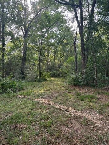 25571 Kimbro Road, Hockley, TX 77447