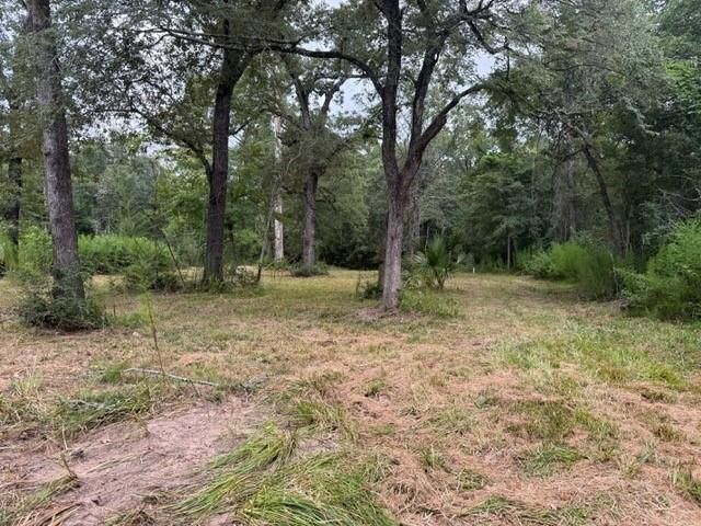 25571 Kimbro Road, Hockley, TX 77447