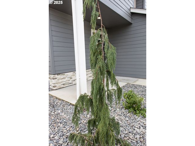 12819 Ne 109TH St, Vancouver, WA 98682