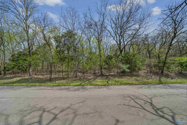 29 Asbury Road SE, Huntsville, AL 35801