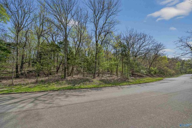 29 Asbury Road SE, Huntsville, AL 35801