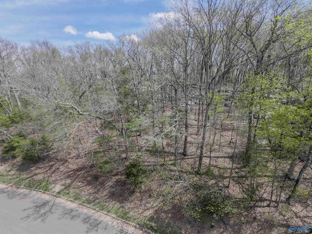 29 Asbury Road SE, Huntsville, AL 35801