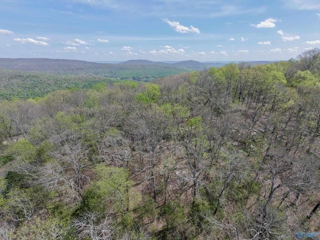 29 Asbury Road SE, Huntsville, AL 35801