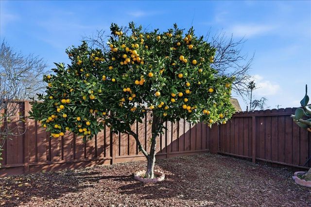 6328 Zulmida Avenue, Newark, CA 94560